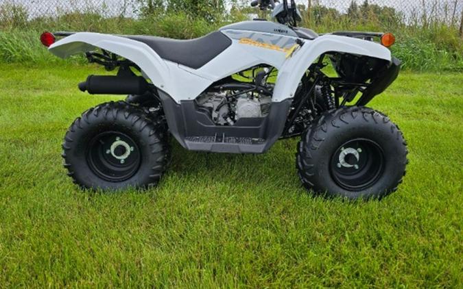 2024 Yamaha Grizzly 90