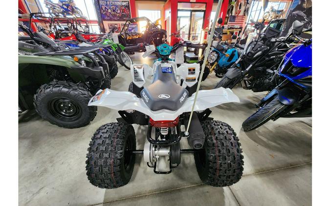 2024 Polaris Industries OUTLAW 110 EFI