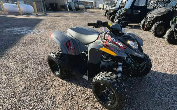 2024 Polaris® Phoenix 200