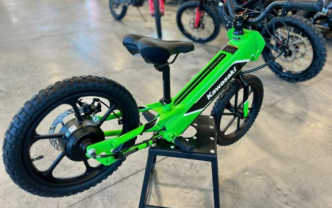 2023 Kawasaki Elektrode™