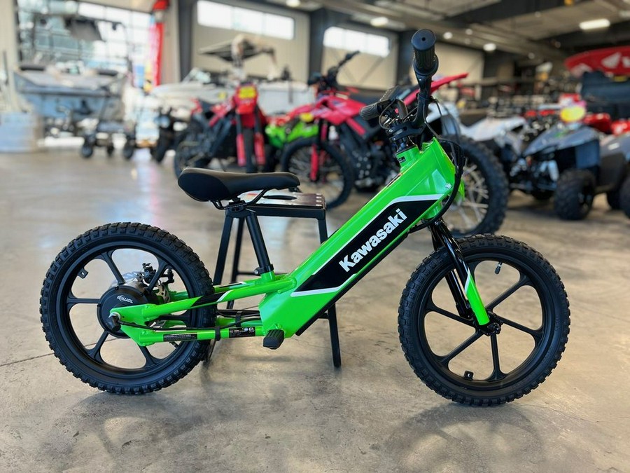 2023 Kawasaki Elektrode™