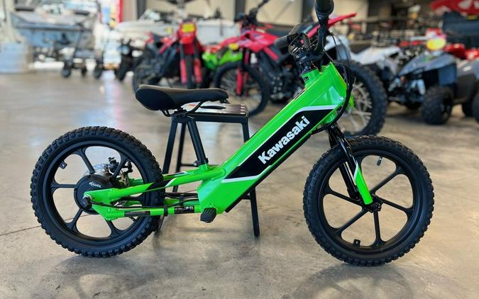 2023 Kawasaki Elektrode™