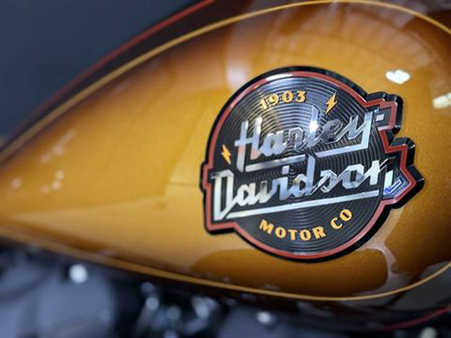 2024 Harley-Davidson Low Rider® ST
