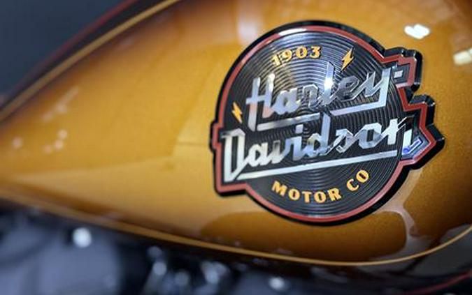 2024 Harley-Davidson Low Rider® ST