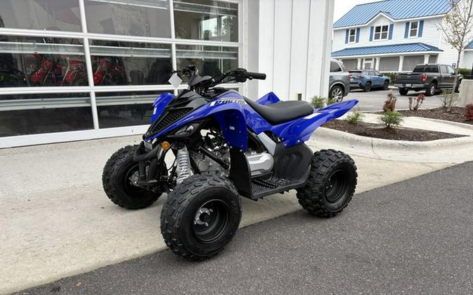 2026 Yamaha Raptor 110