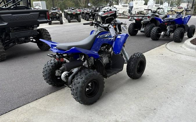 2026 Yamaha Raptor 110