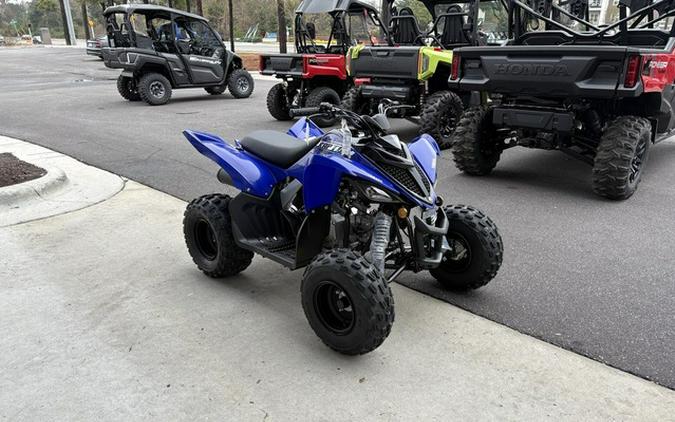 2026 Yamaha Raptor 110