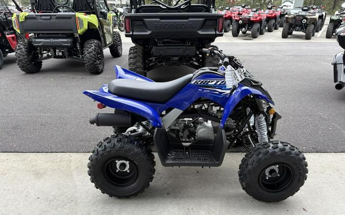2026 Yamaha Raptor 110