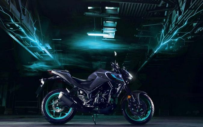 2024 Yamaha Motor Corp., USA MT-03