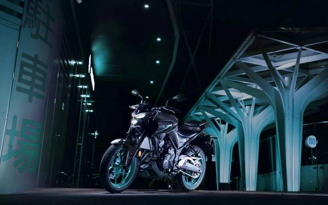 2024 Yamaha Motor Corp., USA MT-03