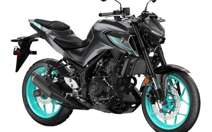 2024 Yamaha Motor Corp., USA MT-03