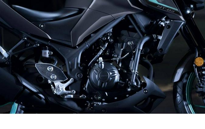 2024 Yamaha Motor Corp., USA MT-03