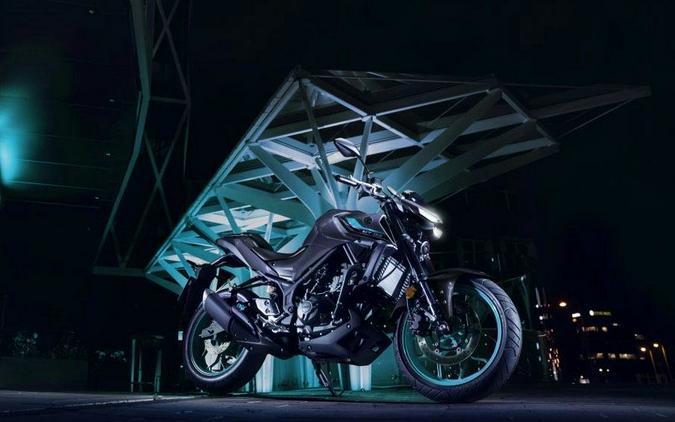 2024 Yamaha Motor Corp., USA MT-03