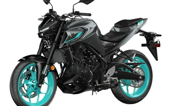 2024 Yamaha Motor Corp., USA MT-03
