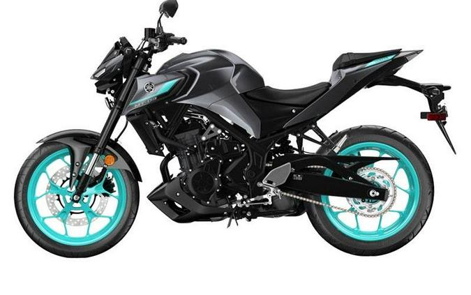 2024 Yamaha Motor Corp., USA MT-03