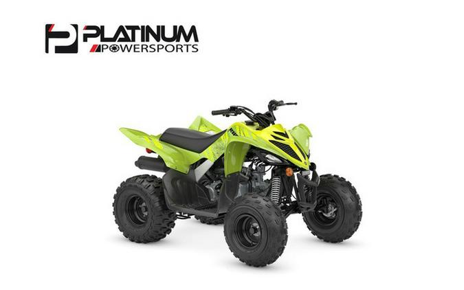 2026 Yamaha Raptor 110