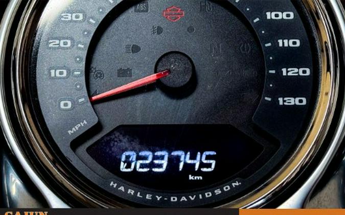 2020 Harley-Davidson Fat Boy® 114