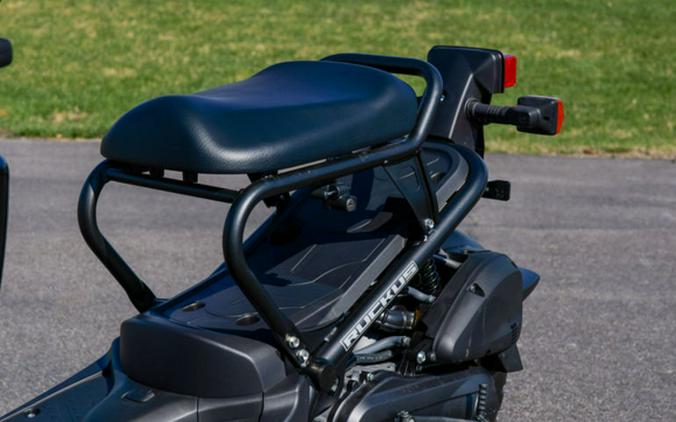 2024 Honda Ruckus Base