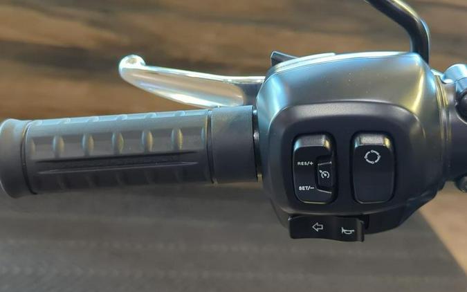 2025 Harley-Davidson® FXLRS - Low Rider® S