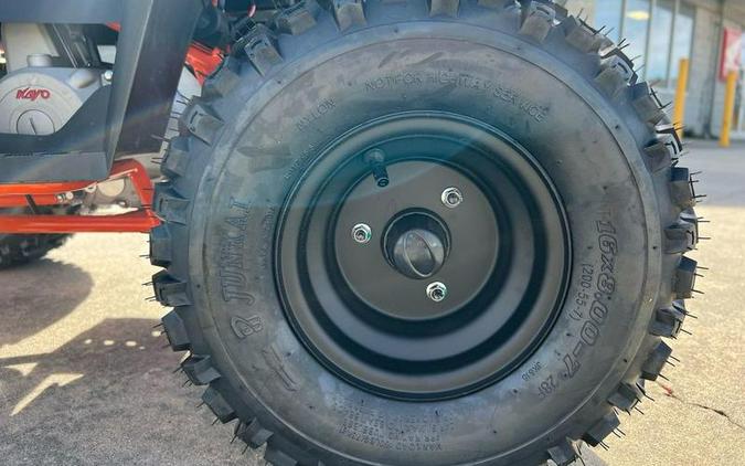 2026 Kayo Fox / Storm 70