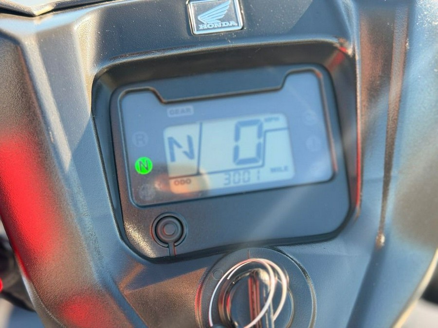 2024 Honda FourTrax Foreman® Rubicon 4x4 EPS