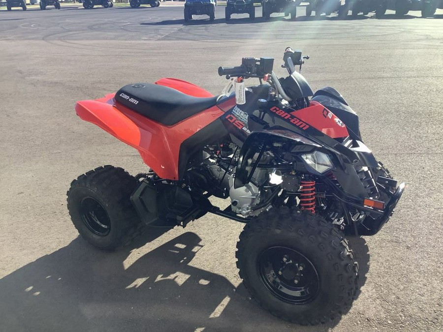 2026 Can-Am DS 250