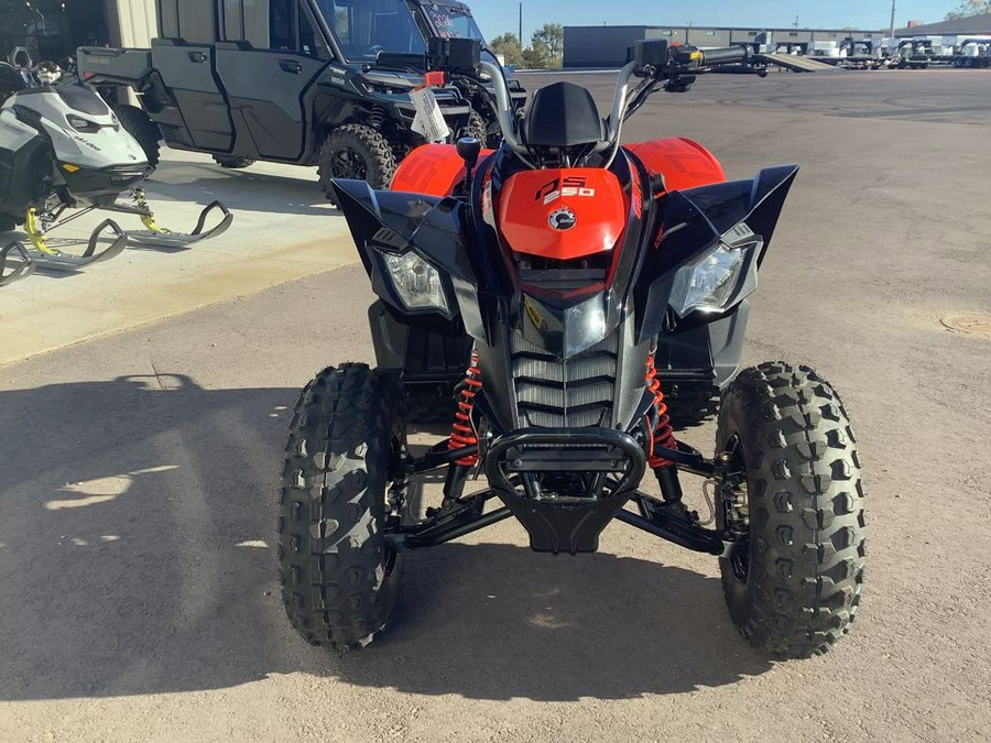 2026 Can-Am DS 250