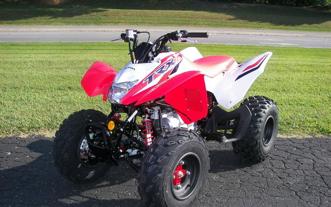 2024 Honda TRX250X