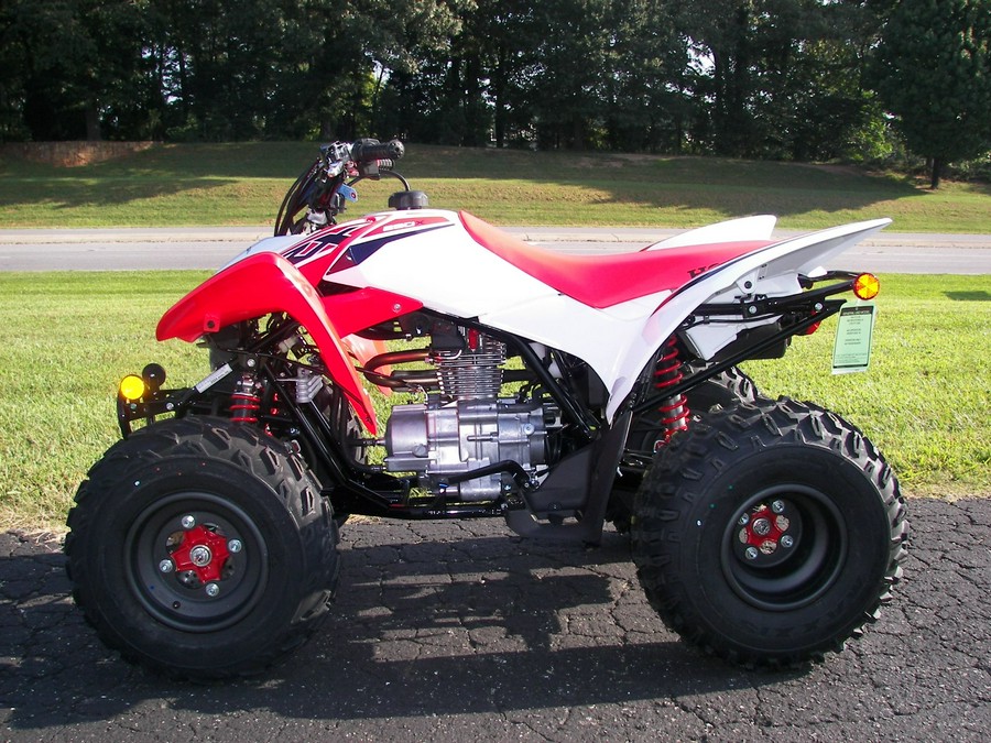 2024 Honda TRX250X