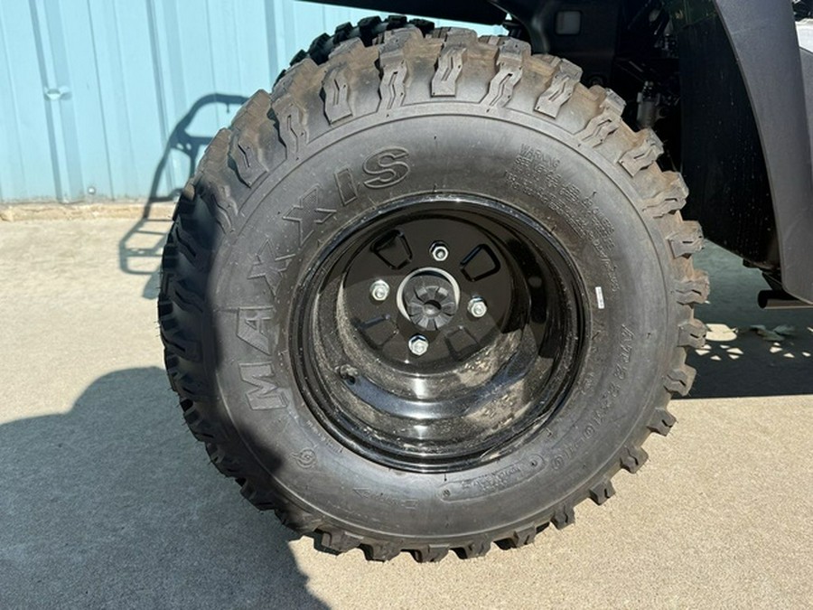 2025 Kawasaki Brute Force 300