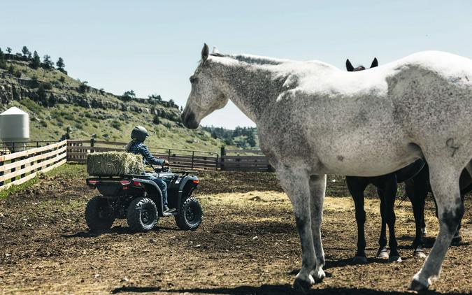 2026 CFMOTO CForce 400