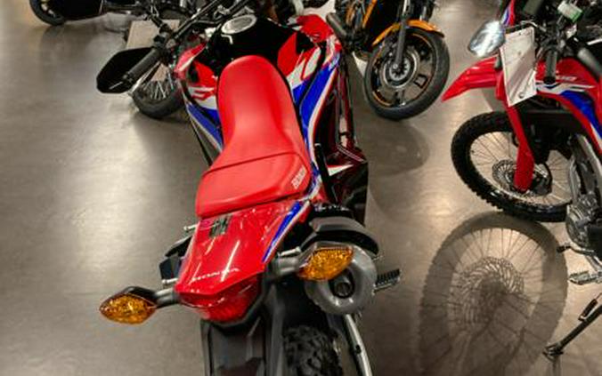 2023 Honda® CRF300L Rally