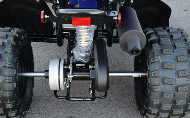 2025 Yamaha Raptor 110