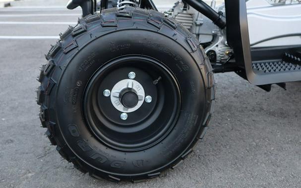 2025 Yamaha Raptor 110