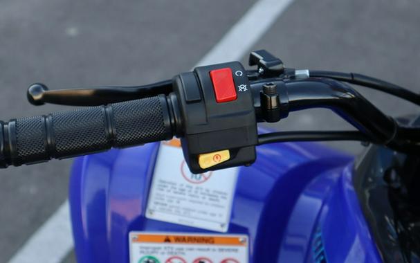 2025 Yamaha Raptor 110