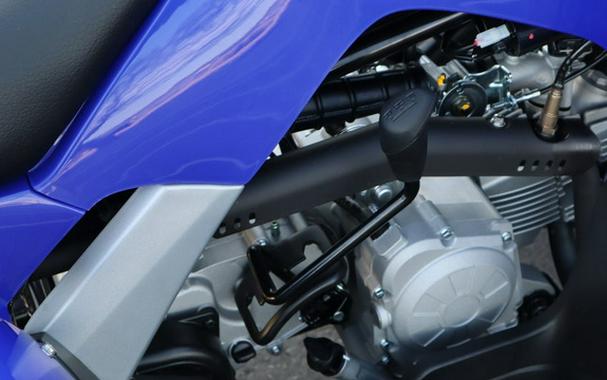 2025 Yamaha Raptor 110