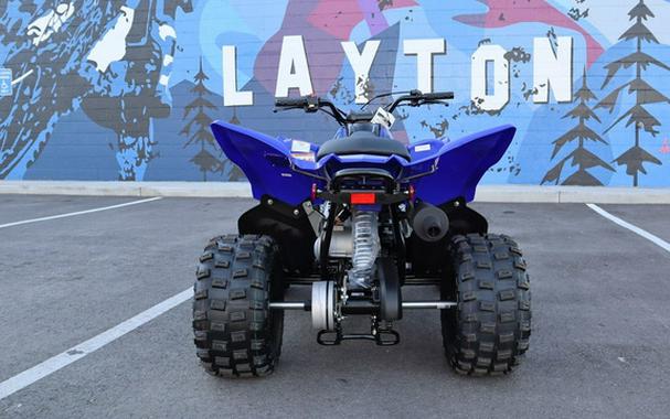 2025 Yamaha Raptor 110