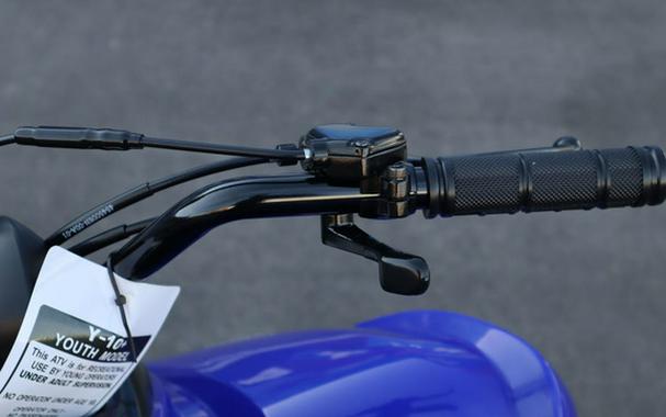 2025 Yamaha Raptor 110