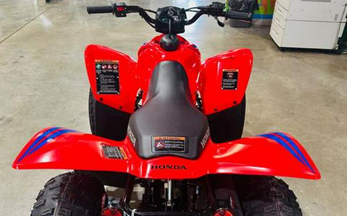 2024 Honda TRX90X