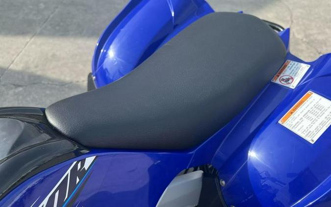 2026 Yamaha Raptor 110