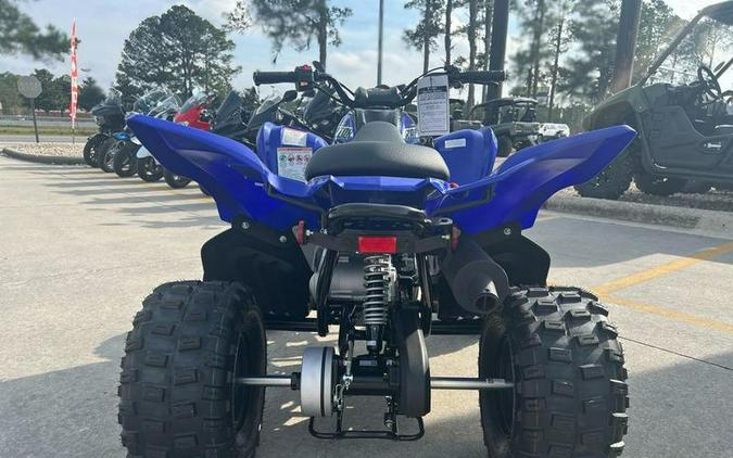 2026 Yamaha Raptor 110