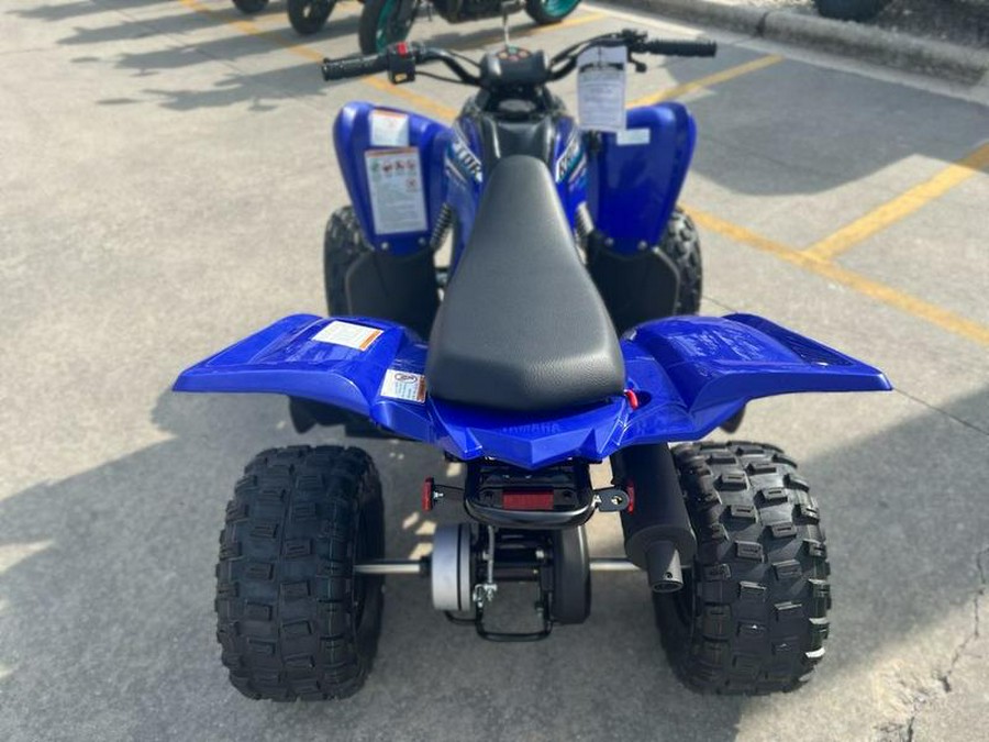 2026 Yamaha Raptor 110