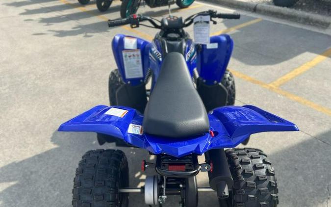 2026 Yamaha Raptor 110