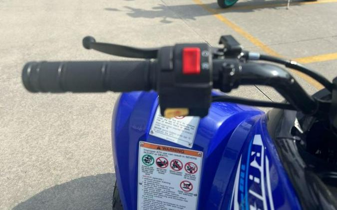 2026 Yamaha Raptor 110