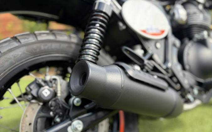 2025 Royal Enfield INT BEAR 650
