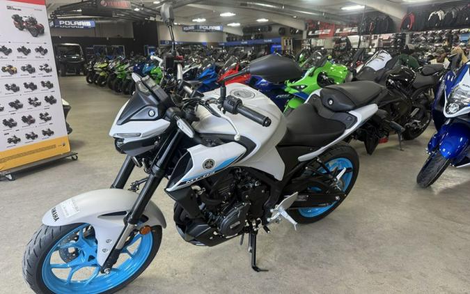 2026 Yamaha MT 03