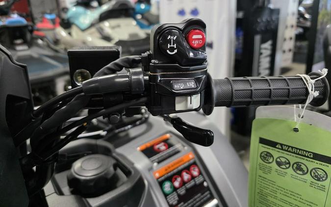 2026 Honda Fourtrax Foreman Rubicon 4X4 Automatic DCT EPS Del