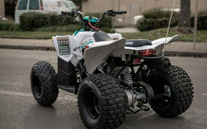 2024 Polaris® Outlaw 110 EFI