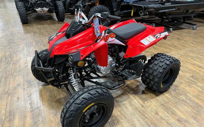 2026 Kayo Storm 300 EFI