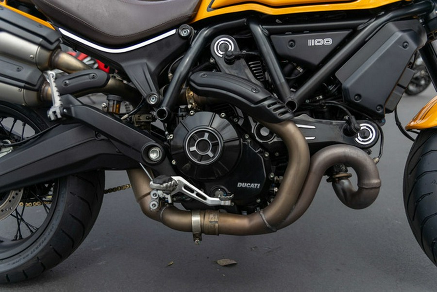 2023 Ducati Scrambler 1100 Tribute PRO Giallo Ocra